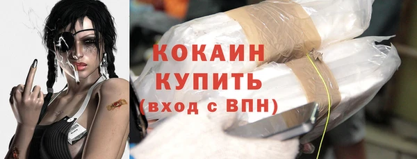 твердый Нягань