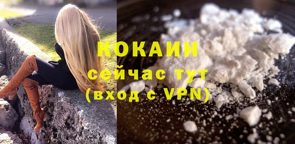 стафф Няндома