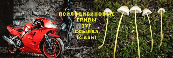 стафф Няндома