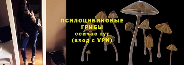 стафф Няндома