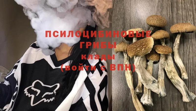 Псилоцибиновые грибы Psilocybine cubensis  где можно купить наркотик  MEGA зеркало  Подольск 