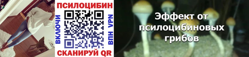 Псилоцибиновые грибы Psilocybe  Подольск 