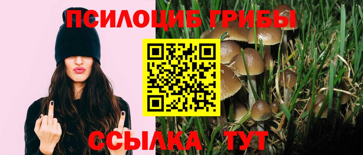 Псилоцибиновые грибы Magic Shrooms  Подольск  как найти наркотики  Галлюциногенные грибы мицелий 