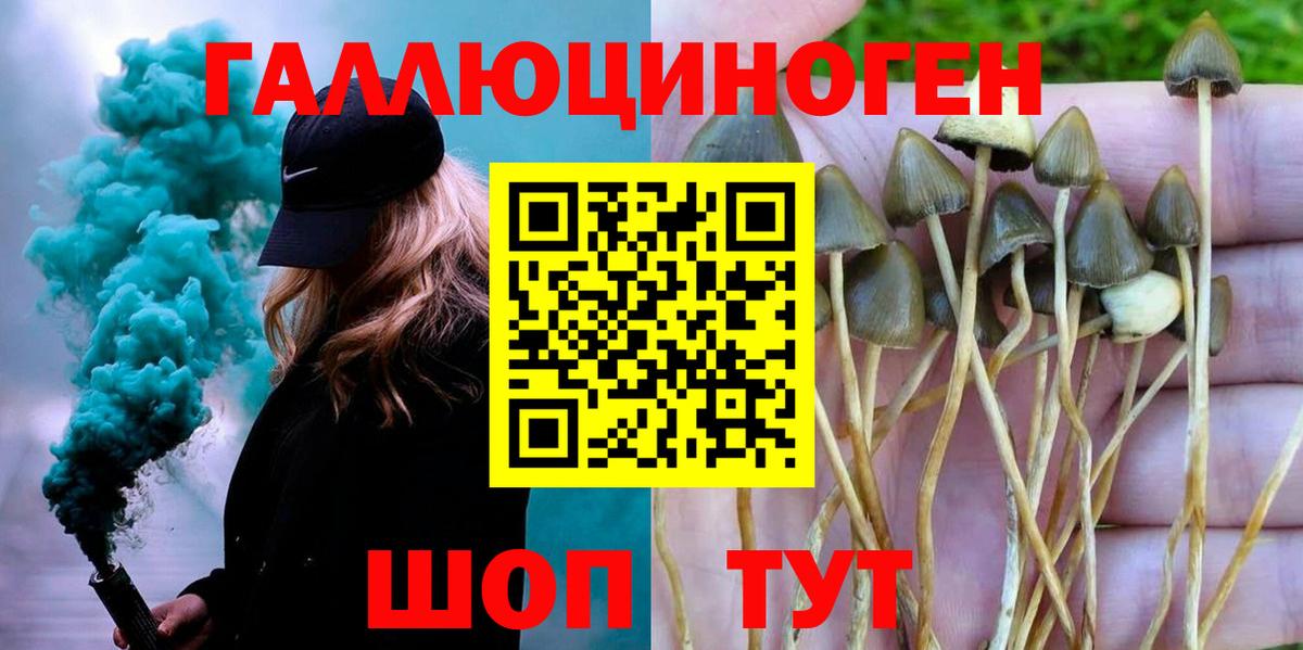 ЭКСТАЗИ  Вход с VPN  МДМА  ГАШ  Каннабис  МЕФ   Подольск  Codein  МЕТАМФЕТАМИН  Кокаин 