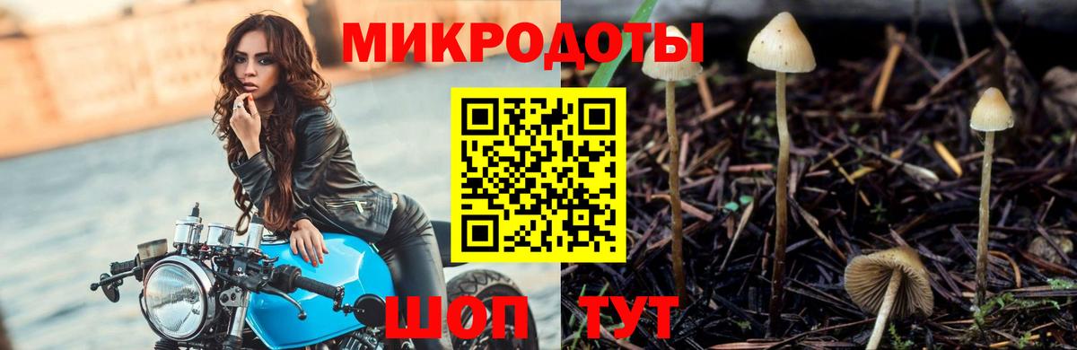 Подольск  где купить наркотик  Вход с VPN  Галлюциногенные грибы Cubensis 
